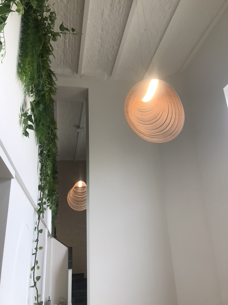 Biophilic Design / FORMM / lichtinval en kunstlicht / natuur / natuurlijk